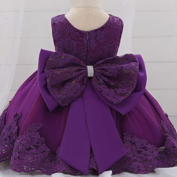 NWOT Dressy Daisy Baby Girl Dress Embroidered - Picture 6 of 8